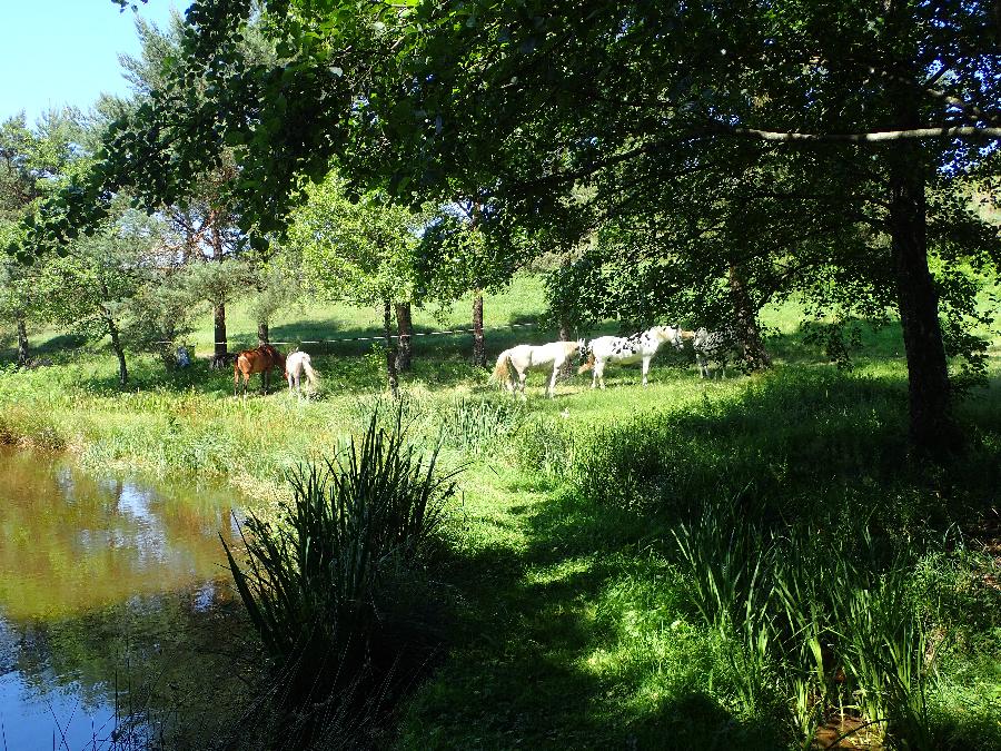 Randonne questre Haute-Vienne Limousin photo 3