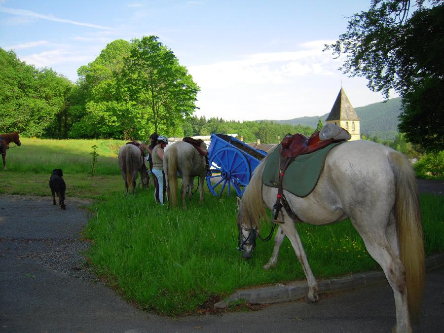 Randonne questre Haute-Vienne Limousin photo 3