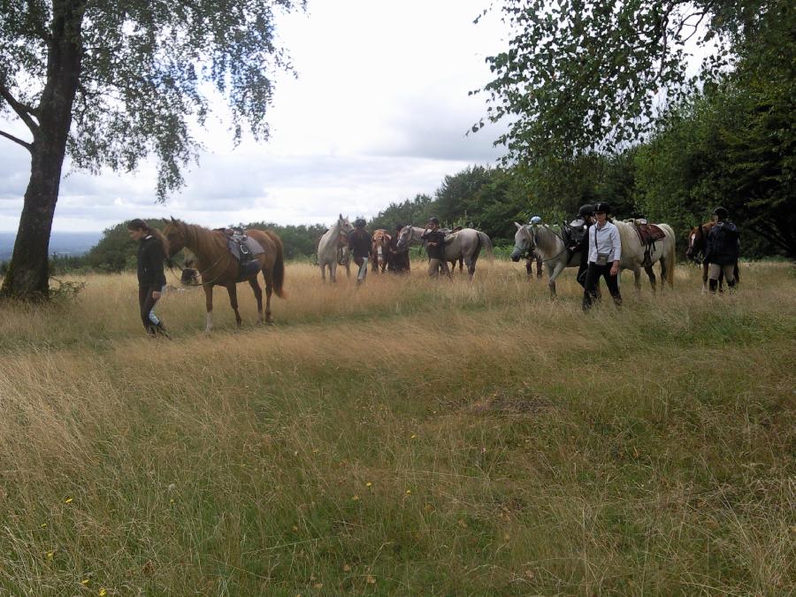 Voyage  cheval Haute-Vienne Limousin photo 5