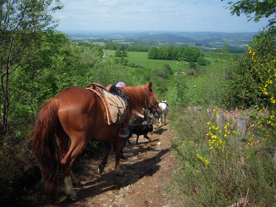 Sjour questre Corrze Limousin photo 2