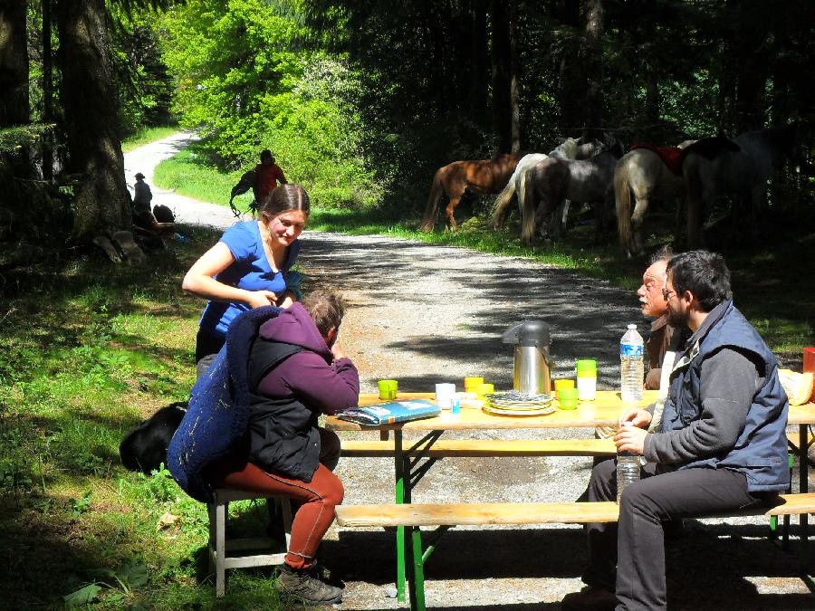 Sjour questre Haute-Vienne Limousin photo 6