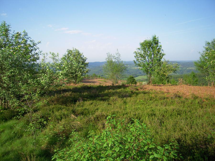 Sjour questre   photo 5