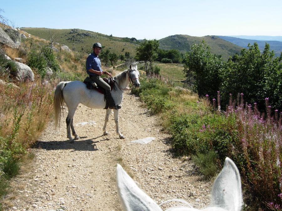 randonnee equestre 56