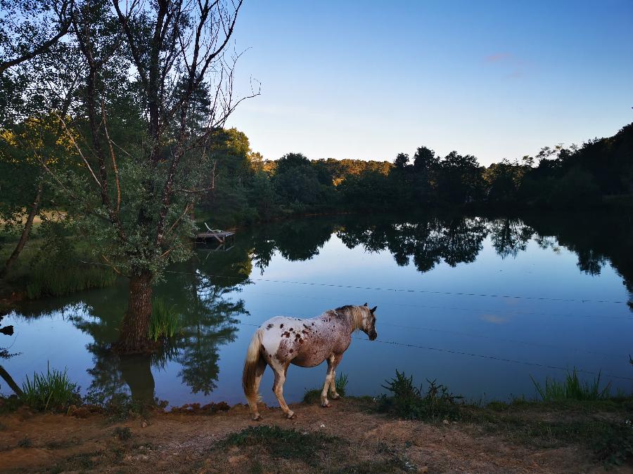 rando Randonne questre Dordogne