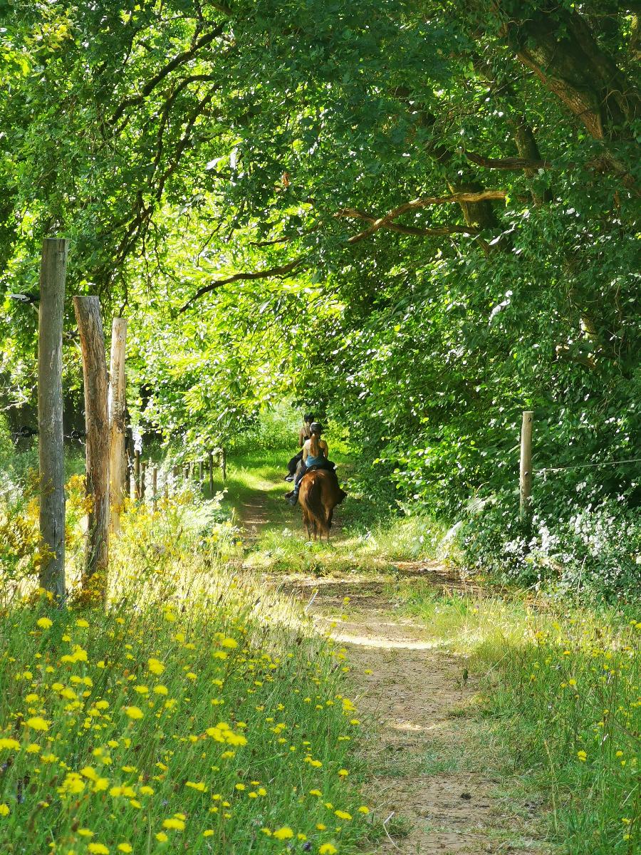 sejour Dordogne  photo 6