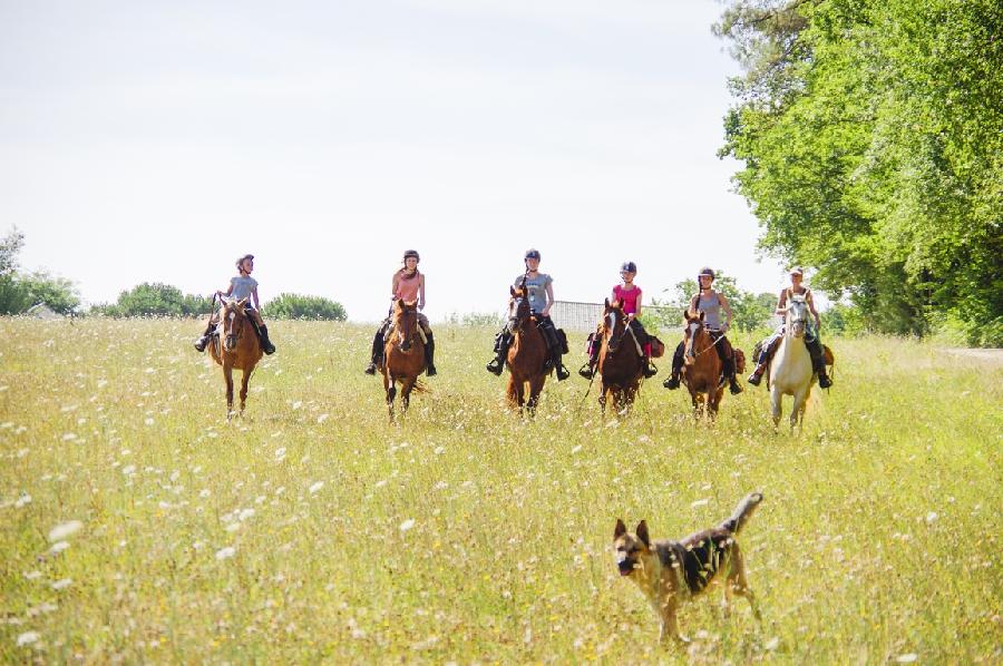 sejour Sjour  la ferme questre Dordogne