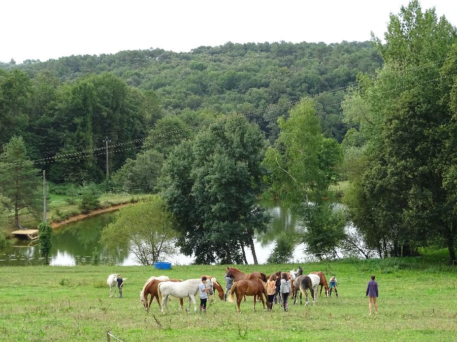 Stage quitation   photo 3