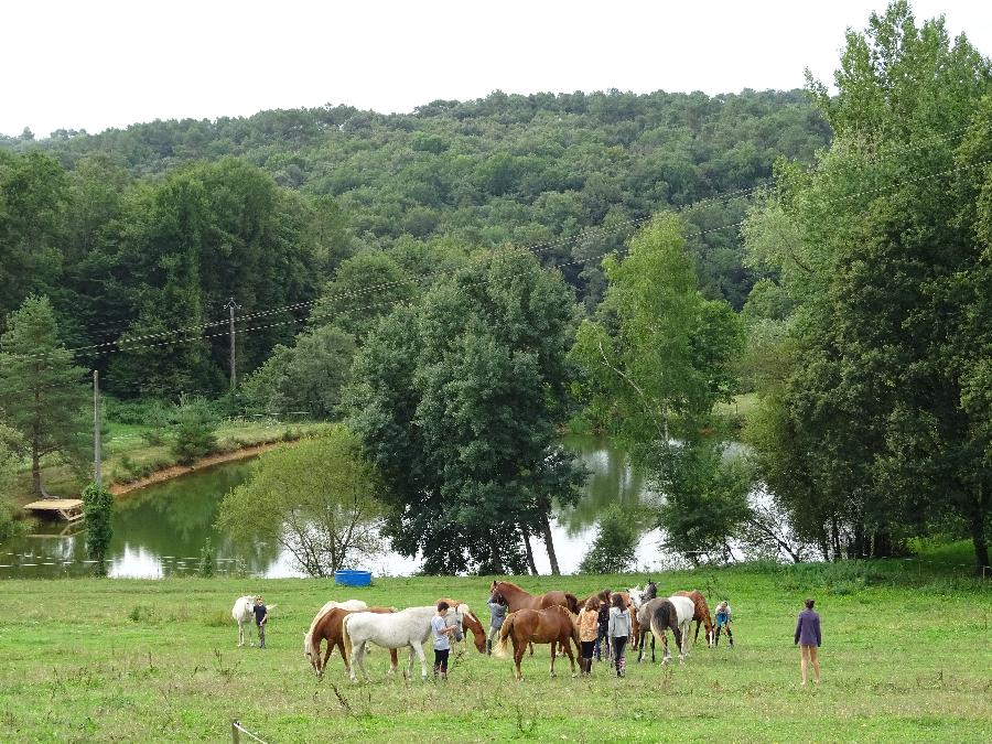 Stage quitation Dordogne  photo 3