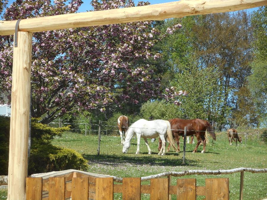 Randonne questre Dordogne  photo 2