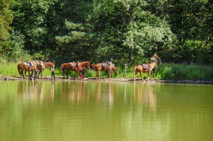 Sjour questre Dordogne Prigord