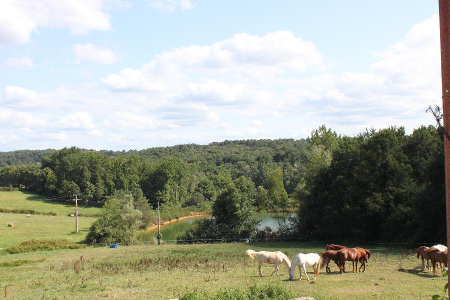 Randonne questre Dordogne  photo 3