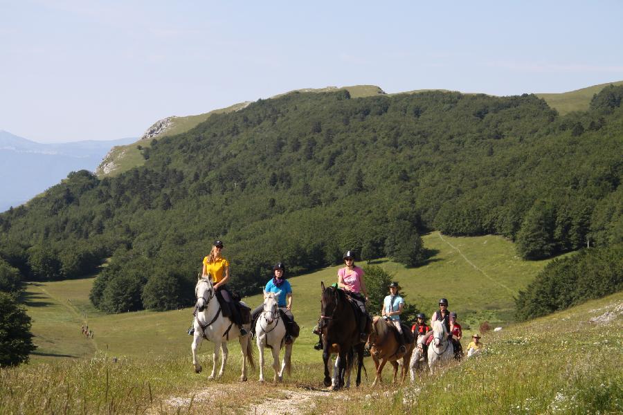 Sjour questre Drme PNR du Vercors photo 5