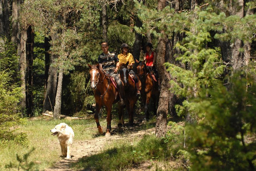 Voyage  cheval Drme PNR du Vercors photo 3