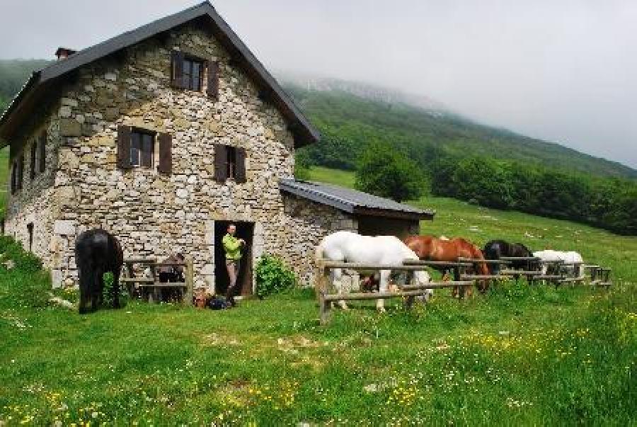 Randonne questre   photo 4