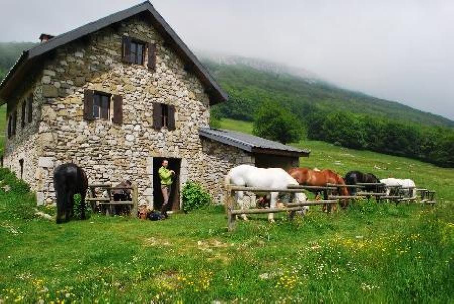 Voyage  cheval Drme PNR du Vercors photo 4