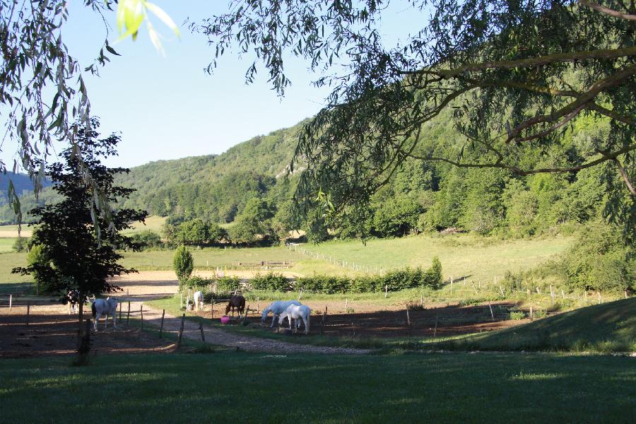 Voyage  cheval Drme PNR du Vercors photo 6