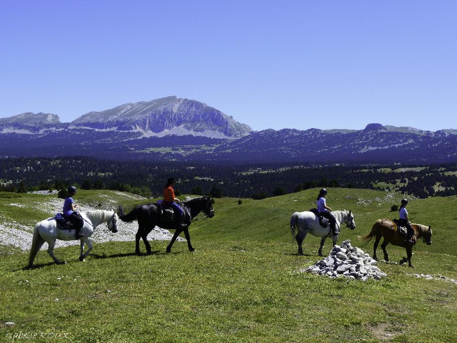 Stage quitation Drme PNR du Vercors