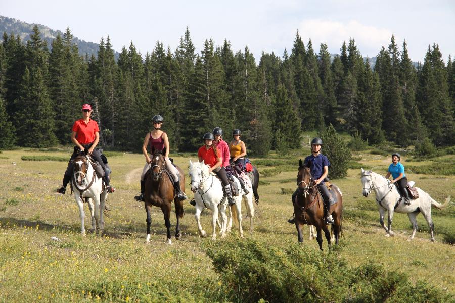 Randonne questre Drme PNR du Vercors