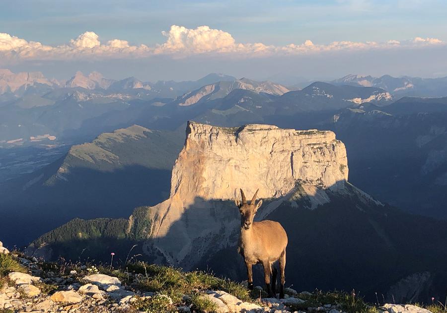 Sjour questre Drme PNR du Vercors photo 2