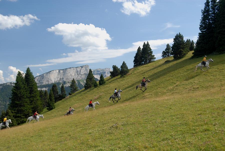 Stage quitation Drme PNR du Vercors photo 4