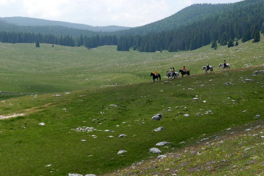 sejour Drme PNR du Vercors