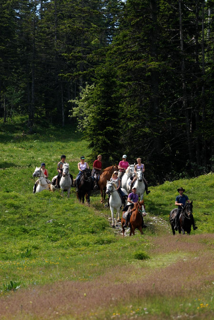 Sjour questre Drme PNR du Vercors photo 3