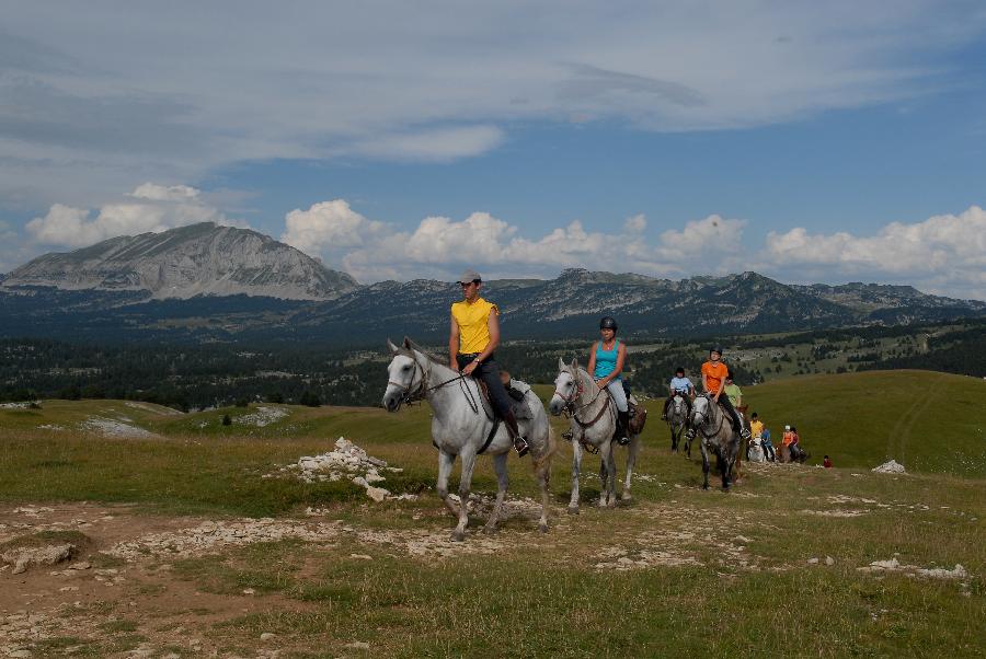 Sjour questre Drme PNR du Vercors photo 4