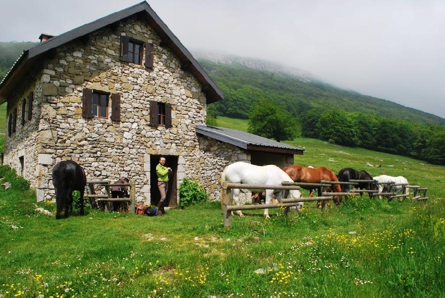 Sjour questre Drme PNR du Vercors photo 3