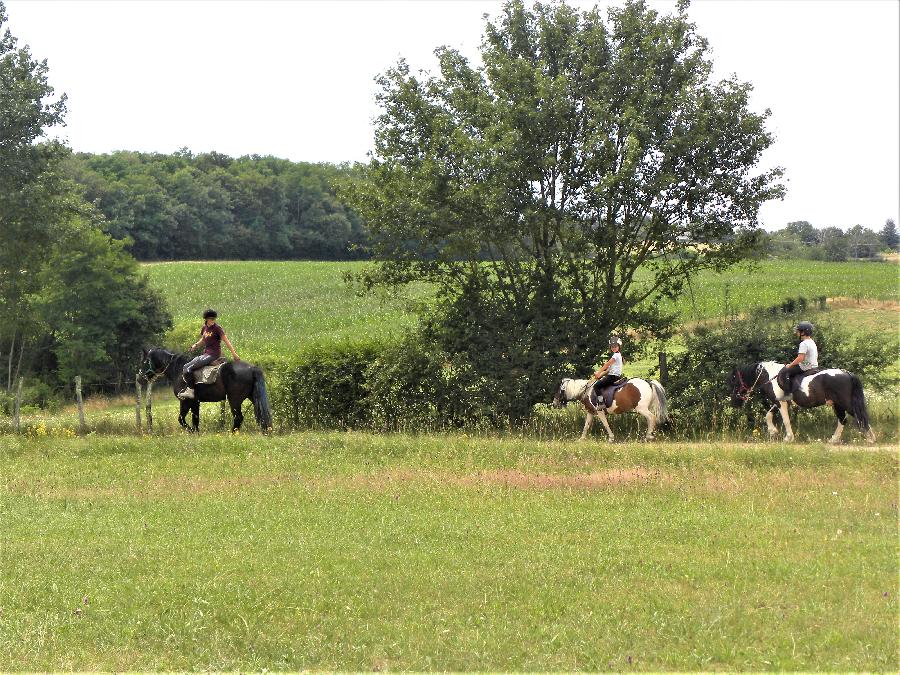 Sjour questre Sane-et-Loire  photo 4