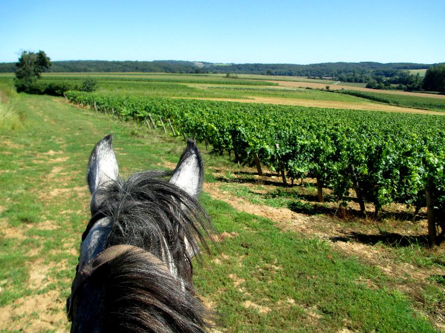 rando Randonne questre Sane-et-Loire