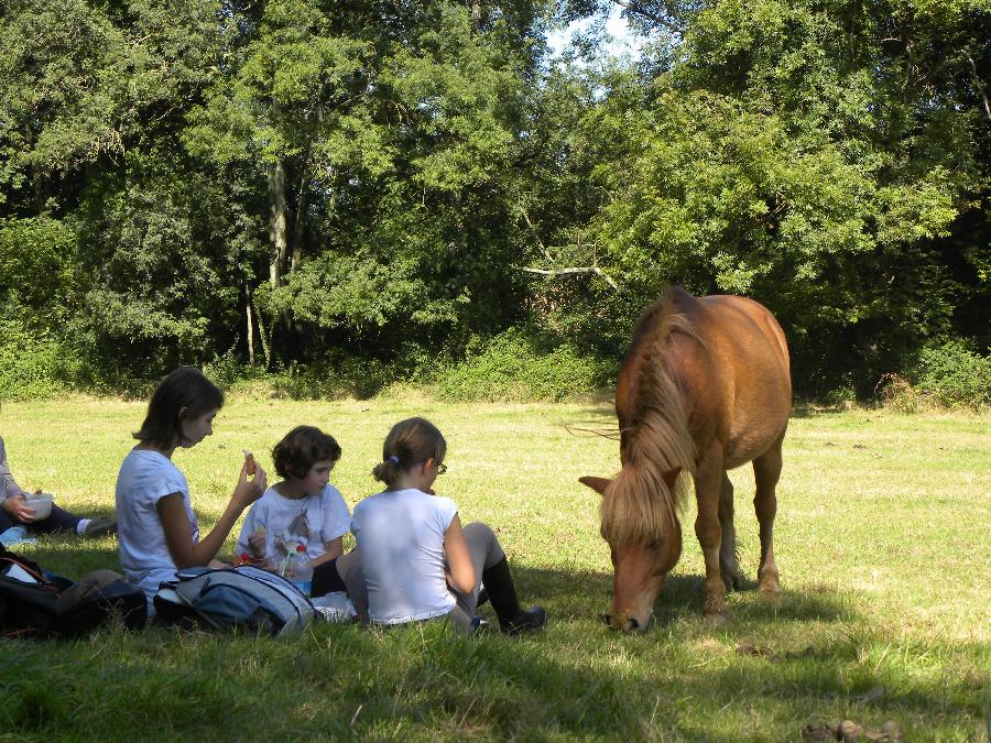 Stage quitation Sane-et-Loire  photo 5