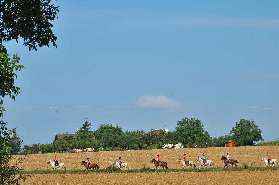 Randonne questre Sane-et-Loire  photo 6