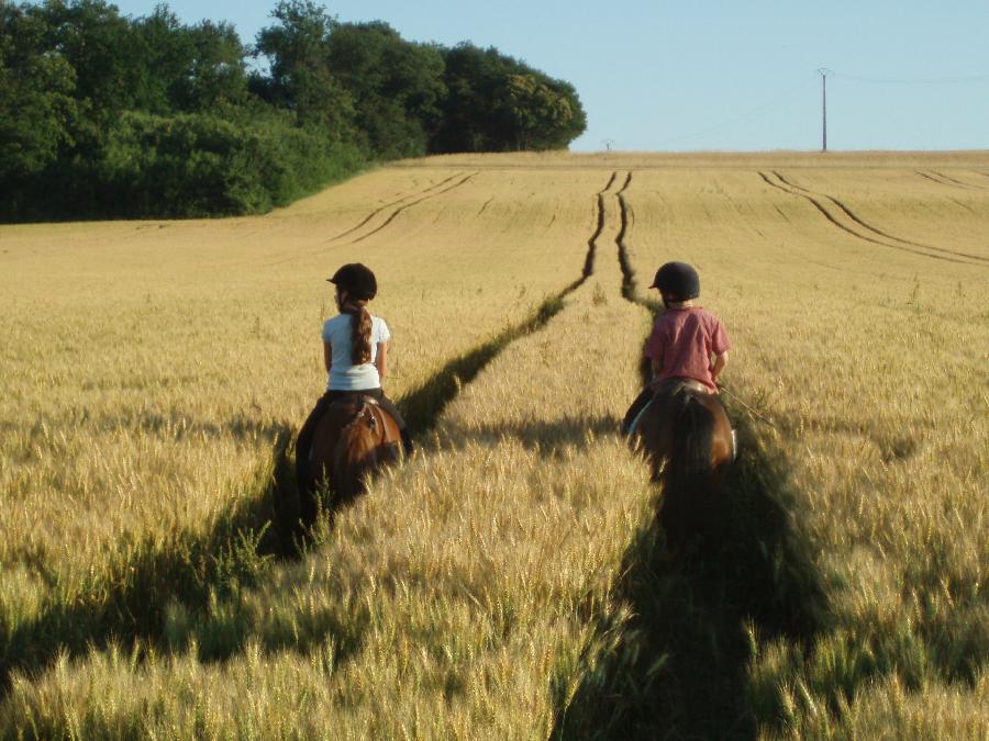 Stage quitation Sane-et-Loire 