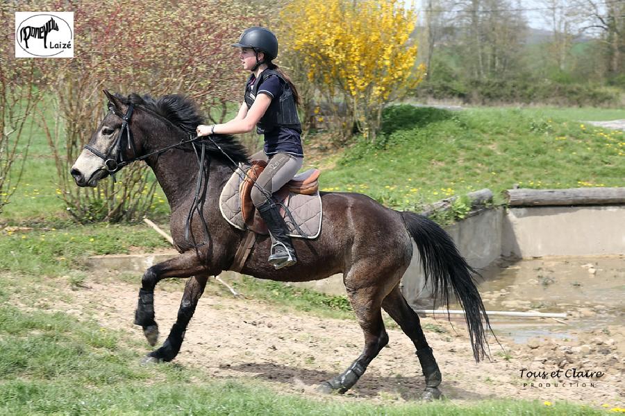 Stage quitation Sane-et-Loire 