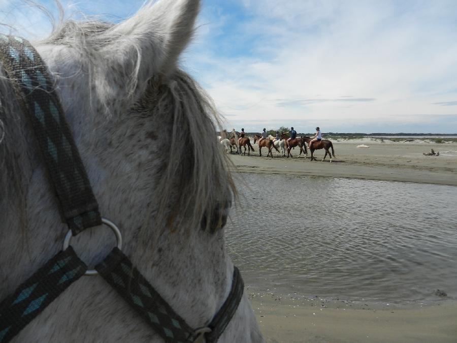 sejour Bouches-du-Rhne Camargue