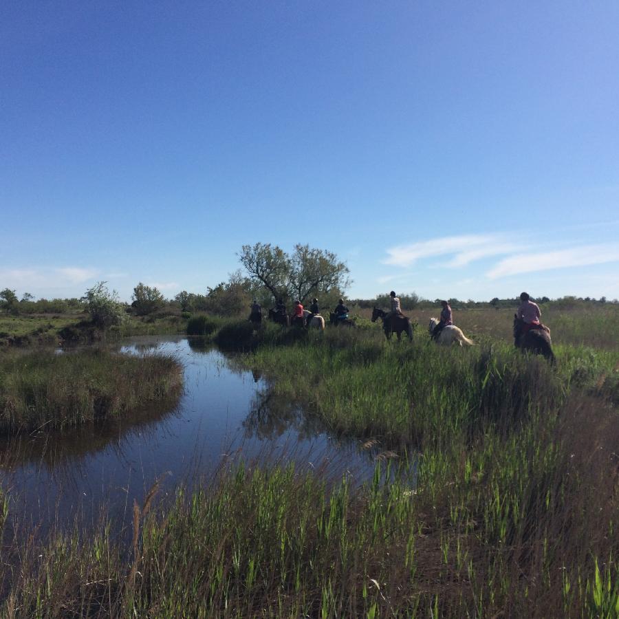 Sjour questre Bouches-du-Rhne Camargue photo 2