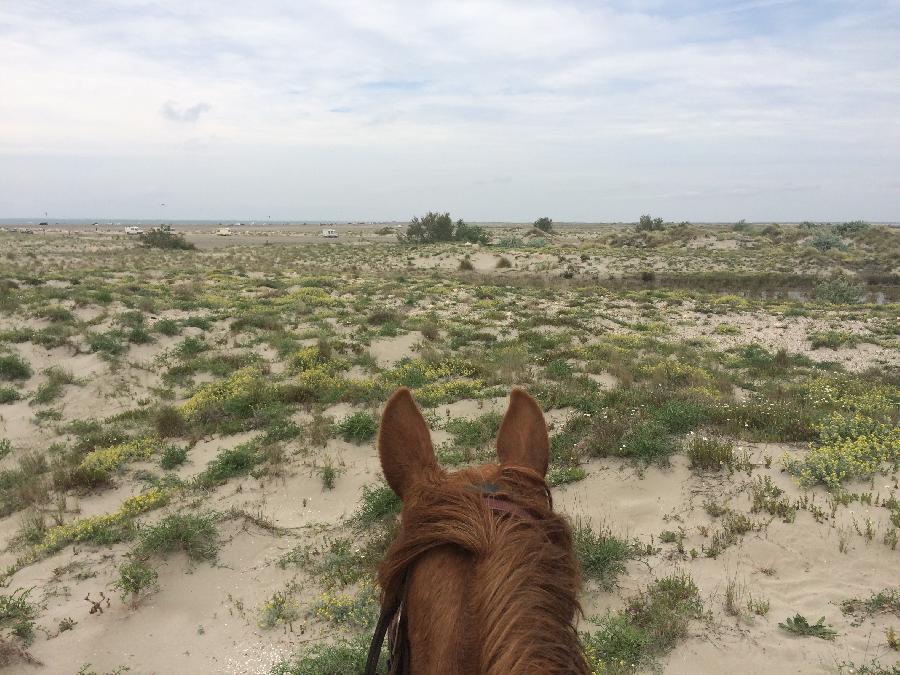 Sjour questre Bouches-du-Rhne Camargue photo 4