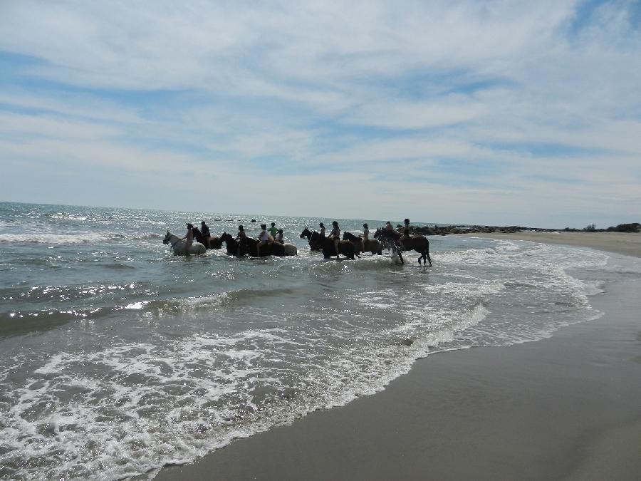 Randonne questre Bouches-du-Rhne Camargue photo 5