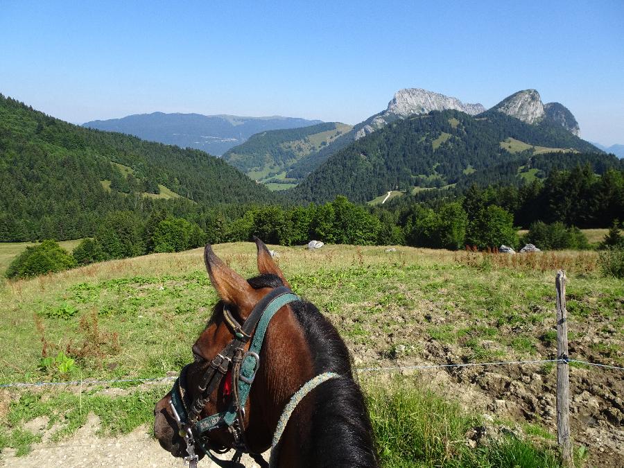 Randonne questre Savoie PNR du Massif des Bauges photo 2