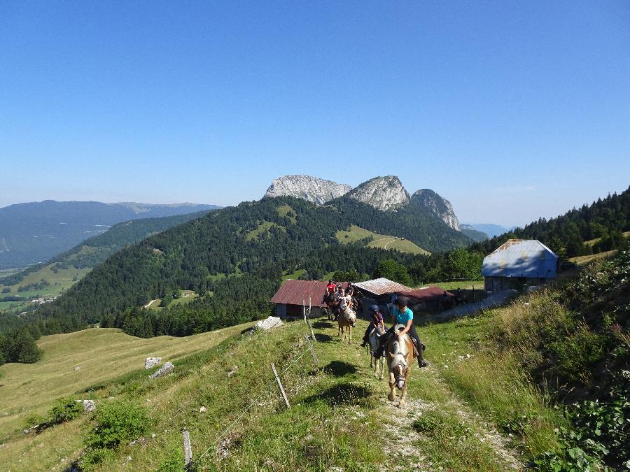 Balade  cheval Savoie PNR du Massif des Bauges photo 3