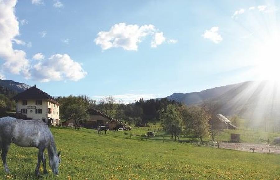 Randonne questre Savoie PNR du Massif des Bauges