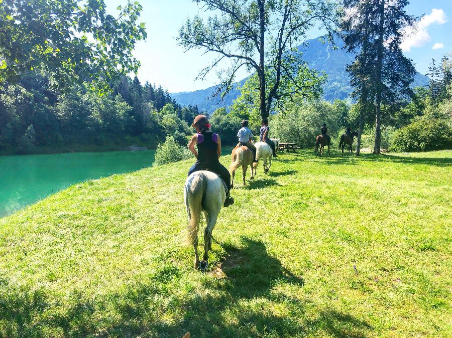 Stage �quitation   photo 4