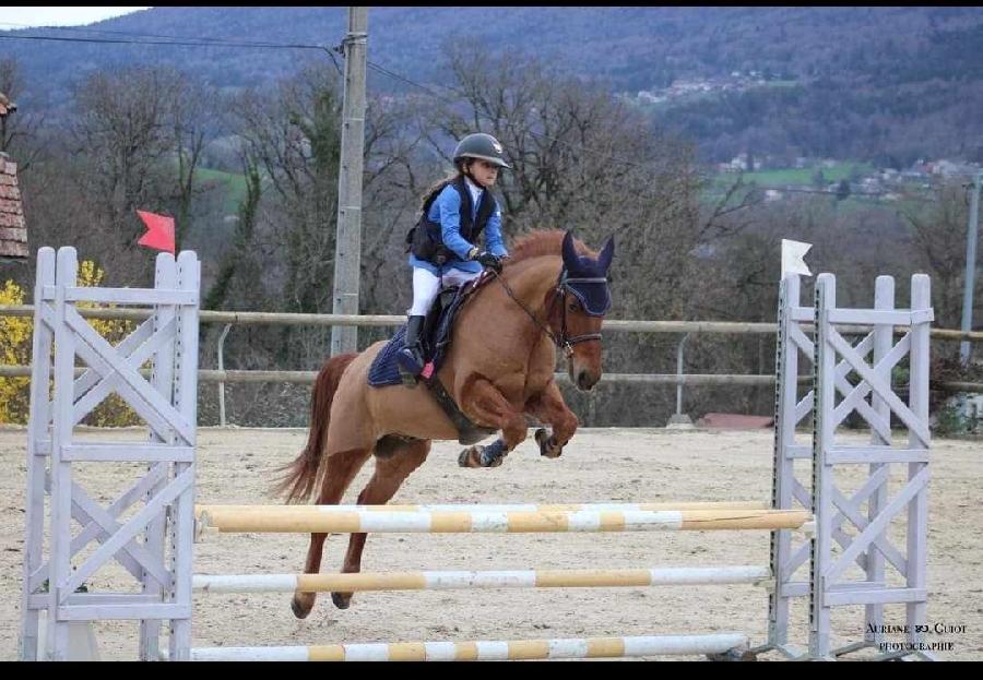 Stage �quitation   photo 6