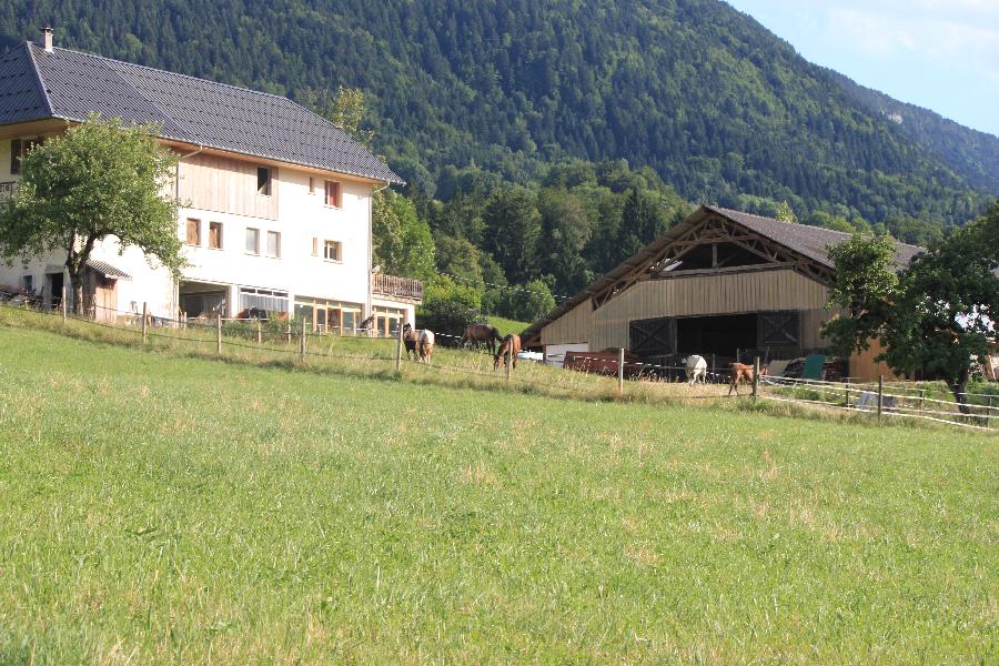 Stage quitation   photo 5