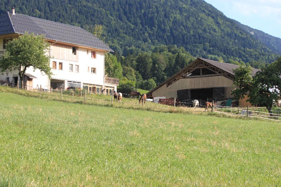 Stage quitation Savoie PNR du Massif des Bauges photo 5