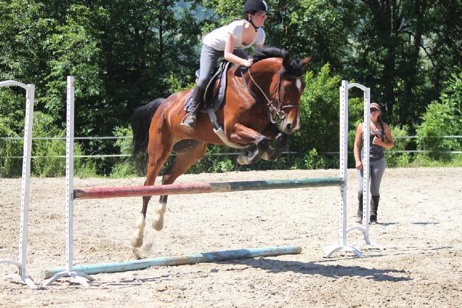 Stage quitation   photo 6