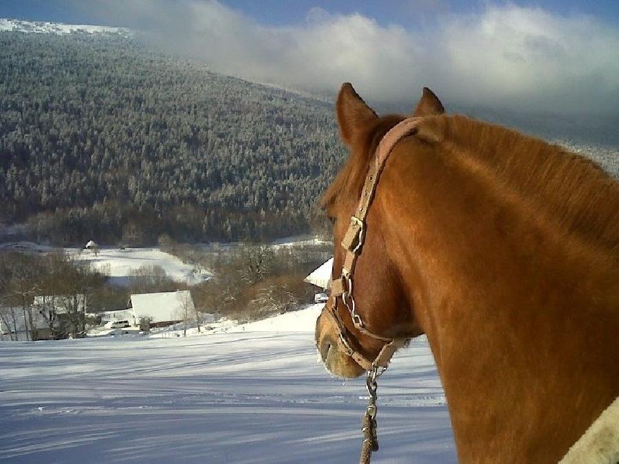 sejour Savoie PNR du Massif des Bauges photo 5