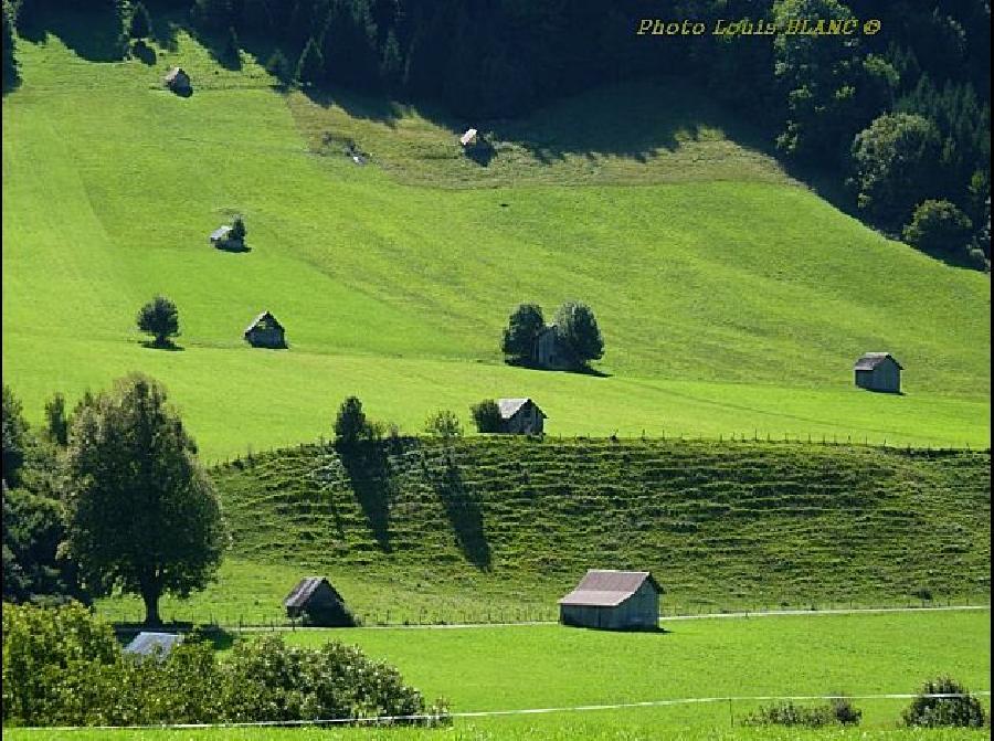 Randonne questre Savoie PNR du Massif des Bauges photo 6