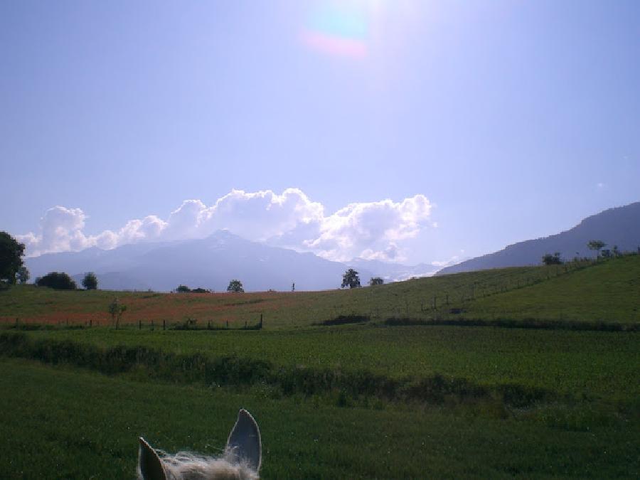 Randonn�e �questre   photo 3
