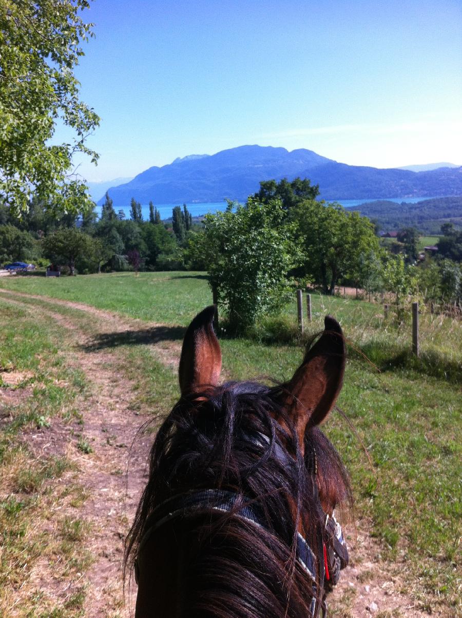 Randonne questre Savoie PNR du Massif des Bauges photo 3